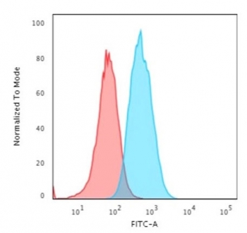 S100A4 Antibody / FSP1