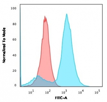 S100A4 Antibody / FSP1