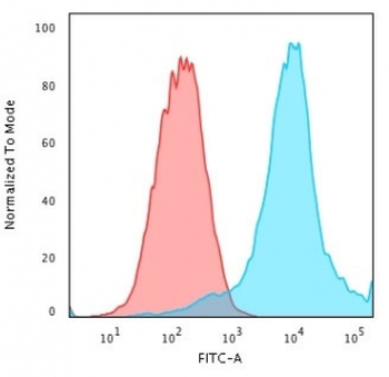 HSP27 Antibody / HSPB1