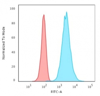 Cytokeratin 18 Antibody
