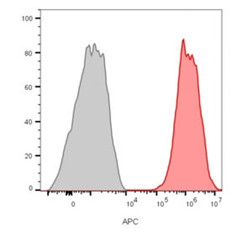 CD81 Antibody