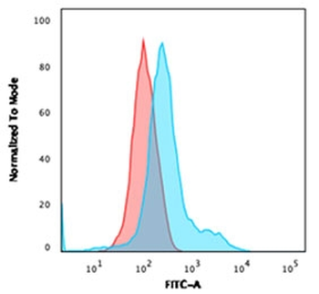 Annexin A1 Antibody