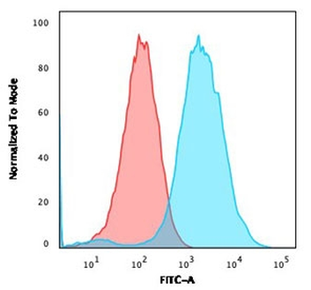 CD47 Antibody / IAP / Integrin Associated Protein