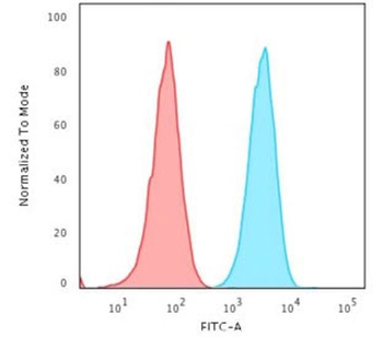 PD-L2 Antibody / Programmed death ligand 2 / CD273