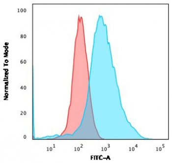 Estrogen Receptor alpha Antibody