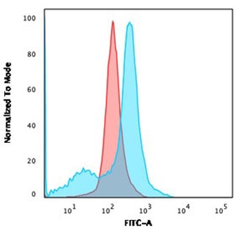CD73 Antibody