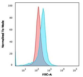 CD73 Antibody