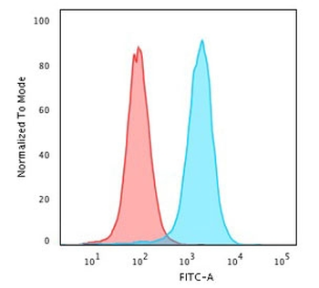 CD43 Antibody