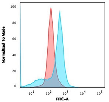 CD73 Antibody