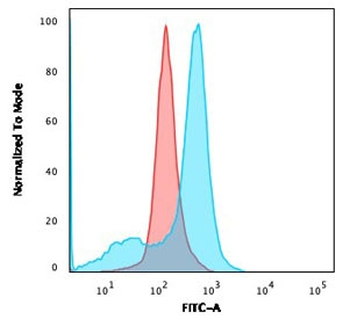 CD73 Antibody