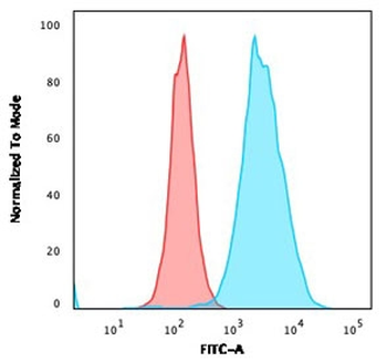 CD20 Antibody