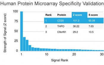 CD20 Antibody