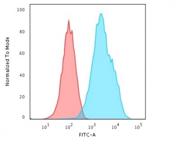 CD20 Antibody