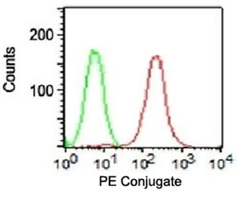 EpCAM Antibody PE Conjugate