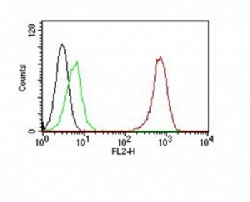 PECAM Antibody PE Conjugate