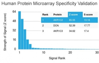 AKR1C2 Antibody