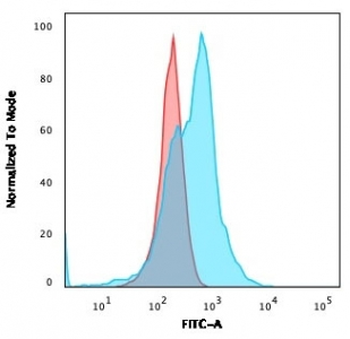 CD21 Antibody