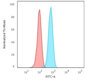 Cytokeratin 14 Antibody / CK14 / KRT14