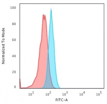 KRT15 Antibody / Cytokeratin 15