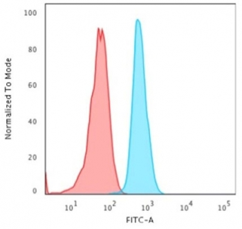 KRT15 Antibody / Cytokeratin 15