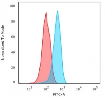 Cytochrome C Antibody