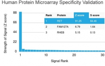 RET Antibody