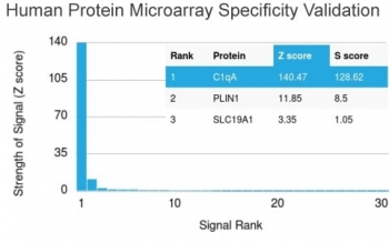 C1QA Antibody / Complement C1q A-Chain