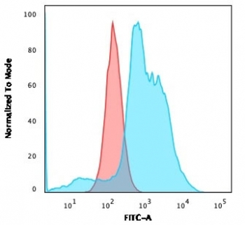 VTCN1 Antibody / B7H4