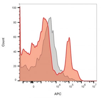 CD19 Antibody