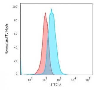 CD19 Antibody / B-lymphocyte marker