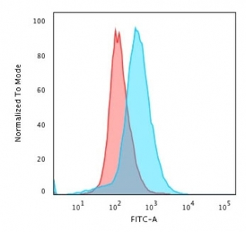 CD28 Antibody