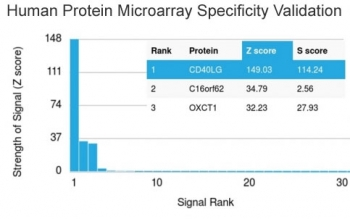 CD40L Antibody / TRAP / CD154