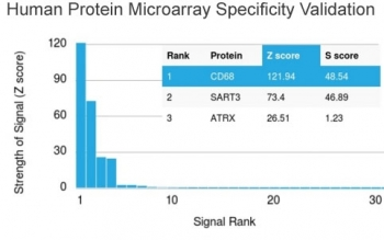 CD68 Antibody