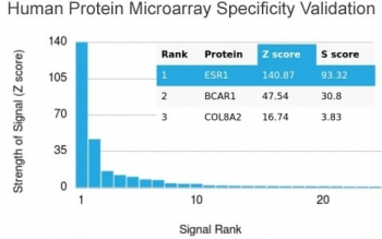 Estrogen Receptor alpha Antibody