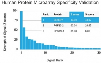 SERBP1 Antibody / PAI-RBP1
