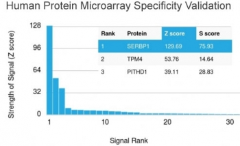 SERBP1 Antibody / PAI-RBP1