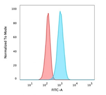 CA9 Antibody / Carbonic Anhydrase IX