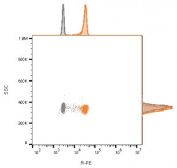 CD81 Antibody