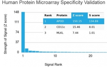APOD Antibody / Apolipoprotein D