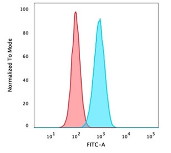 p40 / deltaNp63 Antibody