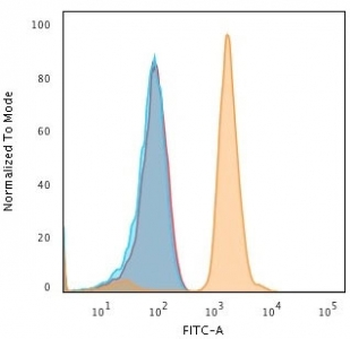 Bax Antibody