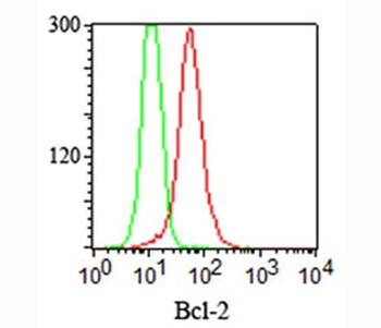 Bcl-2 Antibody Cocktail