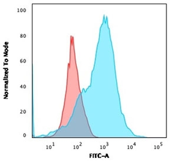 CD2 Antibody