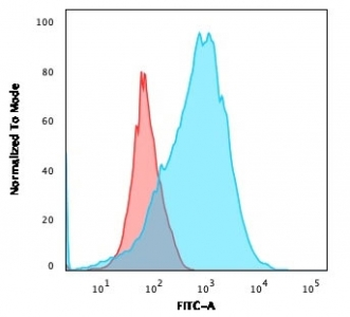 CD2 Antibody
