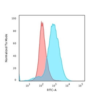 CD28 Antibody