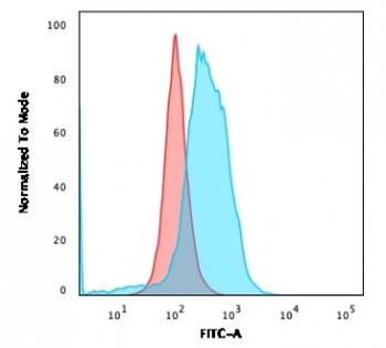 CD86 Antibody