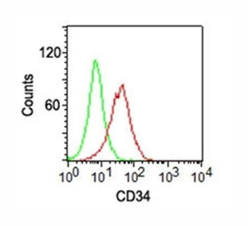 CD34 Antibody PE Conjugate