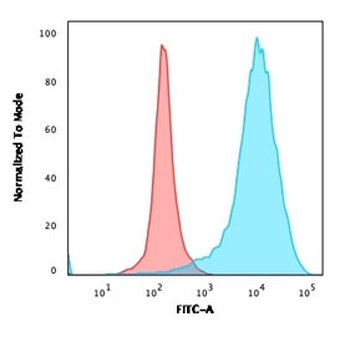 CD63 Antibody / LAMP-3