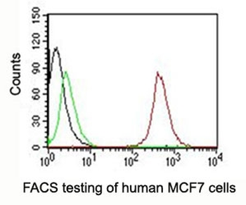 CD63 Antibody PE Conjugate