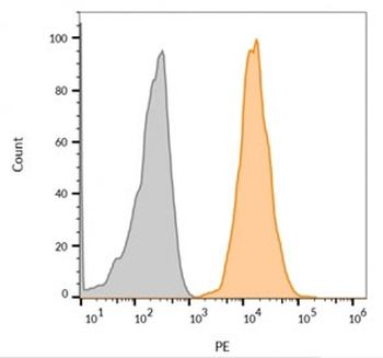 CD63 Antibody / LAMP-3